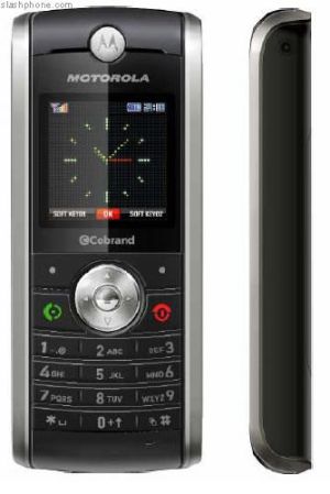 w210_1.jpg