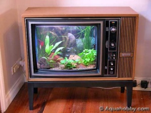 300px-Finished-fish-tank.jpg