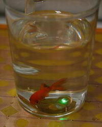 Flexible-Flat-Wireless-Power-Source-Fish