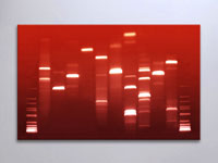 Personal DNA Art DNA Painting