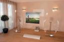 Sony Transparent TV