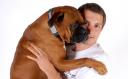 SNiF Tags – Social Networking for Dogs