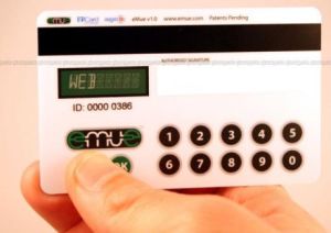 Password Protected Credit Card password-protected-credit-card