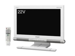 worlds smallest HD TV