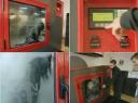 Dog Washing Machine