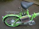 4000 Dollar EcoBike