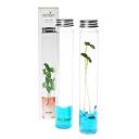 Plantarium Vial Garden