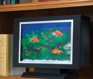 Bookshelf Aquarium
