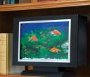 Bookshelf Aquarium