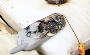 Melted Mobile Phone – Warning