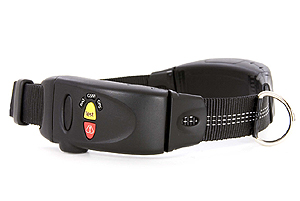 gps collar Sat Nav Dog Collar   The Retrieva