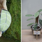 organic-thin-film-solar-cel