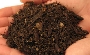 Dirt to power LEDs
