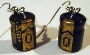 Capacitor Earrings