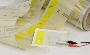 Printed Flexible OLEDs