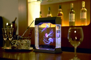 aquapict jellyfish aquarium Aquapict LED Jellyfish Aquarium