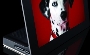 Kodak OLED 7.6 Wi-Fi Photo Frame