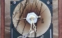 Recycled Harddrive Clock
