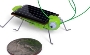 Solar Frightened Grasshopper
