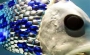 Automated Robot Fish to Monitor the Oceans