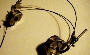 Steampunk Headphones