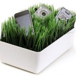 Grassy Lawn Charging Station