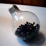 Light Bulb Aquarium
