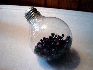 light bulb aquarium 300x225 Light Bulb Aquarium