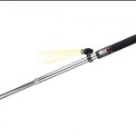 The Pedomostick