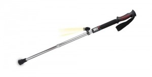 pedo 300x152 The Pedomostick