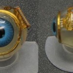 An Implant Microchip Could help Restore Vision