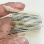 Flexible Flash Memory Revealed