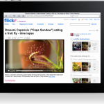 Flickr add HTML5 Video Playback