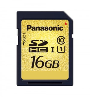 Panasonic SDHC 300x324